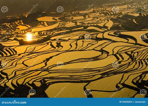 Rice Terraces of Yuanyang, Yunnan, China Stock Photo - Image of landscape, orange: 9269694