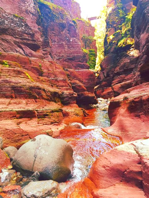 Red Rock Canyon - Waterton Lakes National Park, Canada | Waterton national park, Waterton lakes ...