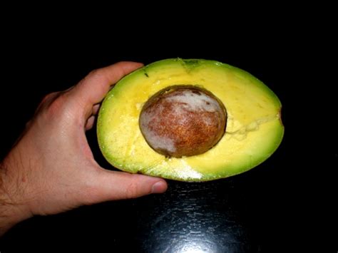 The Crooks in the Lot: Product Review: Choquette Avocado