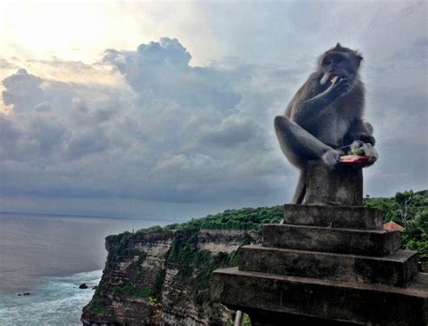 Uluwatu monkey temple, Bali Indonesia | Temple bali, Bali, Bali indonesia