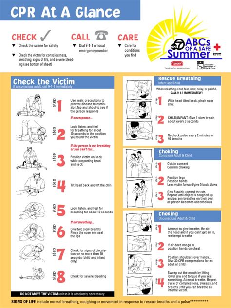 American Red Cross Cpr Test Answer Key 2024 Quizlet - Hilda Larissa