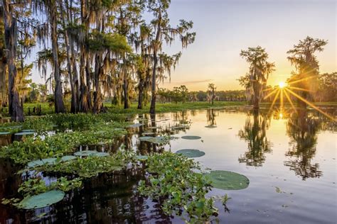 An amazing Atchafalaya Basin sunrise - Andy Crawford Photography