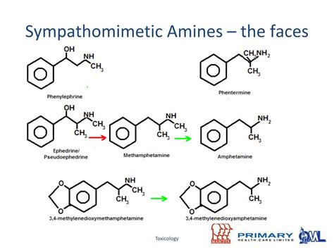 PPT - Common Drug-Testing Methodologies PowerPoint Presentation, free download - ID:6617518