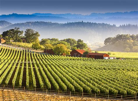 5 Unexpected Finds in Napa Valley | HuffPost