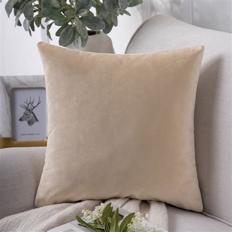 Phantoscope Soft Silky Velvet Series Decorative Throw Pillow, 22" x 22 ...