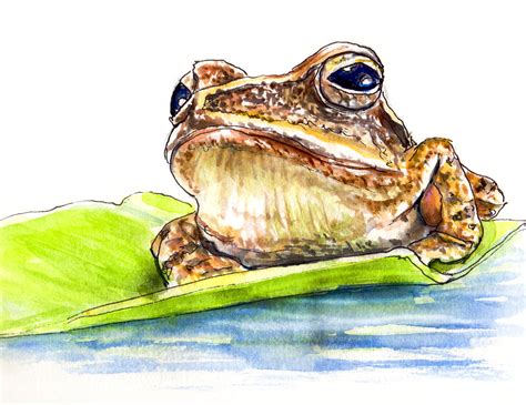 World Watercolor Month - Day 12 - A Frog At Sunset ~ Doodlewash®