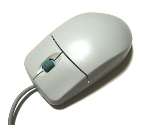 File:Scroll switch mouse.jpg - Wikimedia Commons
