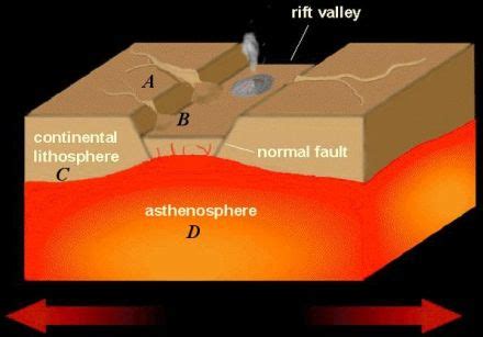 AJ's Geo Blog: The rift Valley