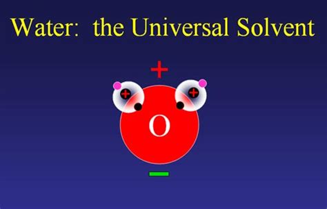 💌 Water universal solvent examples. Water Molecule & Polarity. 2022-10-24