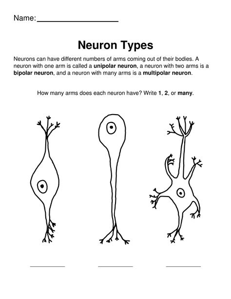 18+ Neuron Coloring Page - DebbiDakarai