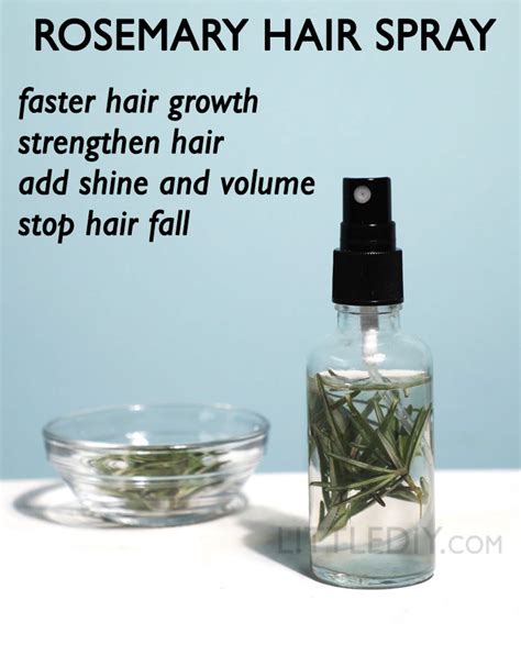 OVERNIGHT ROSEMARY THICKER HAIR GROWTH SPRAY | Little DIY | Rosemary hair growth, Thick hair ...