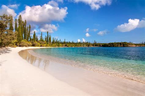 Tropical Beach, Isle of Pines Stock Image - Image of seaside, landscape ...