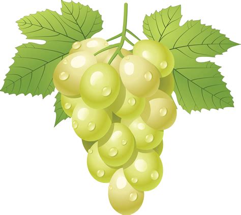 grape clipart png - Clip Art Library