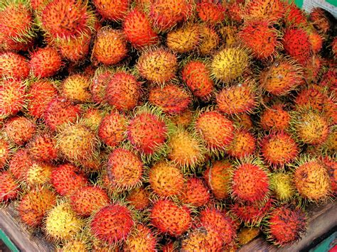 Rambutan Fruit in Kuala Lumpur, Malaysia - Encircle Photos