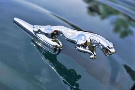 Your place to buy and sell all things handmade in 2020 | Jaguar hood ornament, Hood ornaments ...