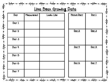 Lima Bean Experiment by Jackie Curtis | Teachers Pay Teachers