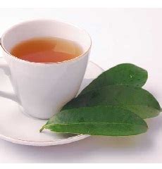 Graviola Fruit Juice Extract Capsules, Supplements and Tea