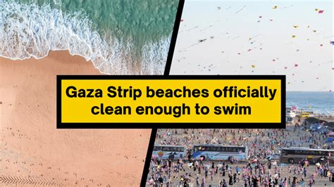 Gaza Strip CLEAN-UP means locals can FINALLY visit beaches