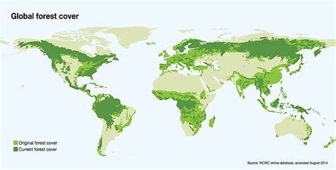 Old-Growth Forests - WorldAtlas