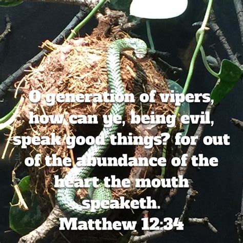 Matthew 12:34 O generation of vipers, how can ye, being evil, speak good things? for out of the ...