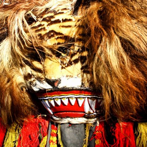 Reog Ponorogo, #mask #barongan #relax #warok #traditional … | Flickr