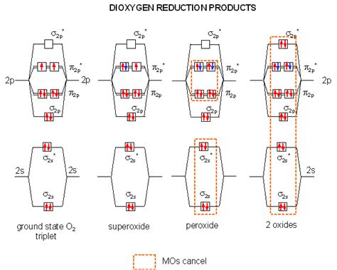 A2. The Properties of Dioxygen - Biology LibreTexts