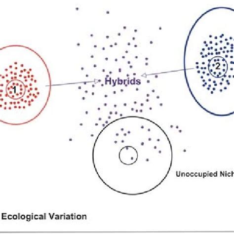 Hybrid speciation in an "adaptive landscape." Species 1 and 2 occupy... | Download Scientific ...