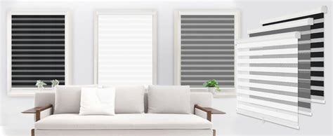 Amazon.com: LUCKUP Cordless Zebra Blinds Roller Shades for Window-Dual Layer Sheer Blinds Light ...