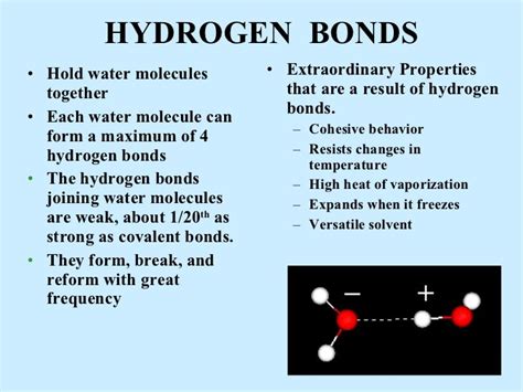 Properties of water