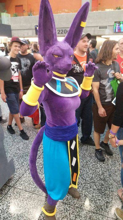 Lord Beerus- Dragon Ball | Dbz cosplay, Best cosplay, Cosplay