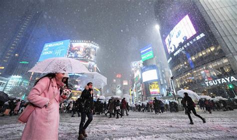 Japan Hit By Coldest Weather In 48 Years | Armstrong Economics