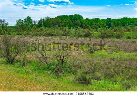 29,511 Forest Steppe Images, Stock Photos & Vectors | Shutterstock