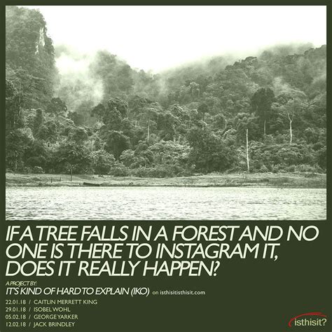 If a tree falls in a forest and no one is there to Instagram it, does it really happen ...