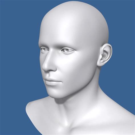 Man Head 3d Model 3D Model $39 - .fbx .max .obj - Free3D