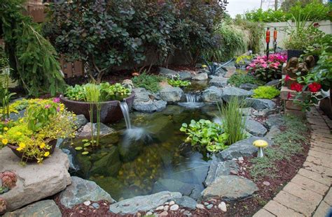 Backyard water feature, Ponds backyard, Pond landscaping