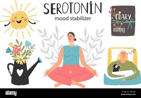 Mood stabilizer, serotonin hormone health colorful vector illustration of , brain health ...