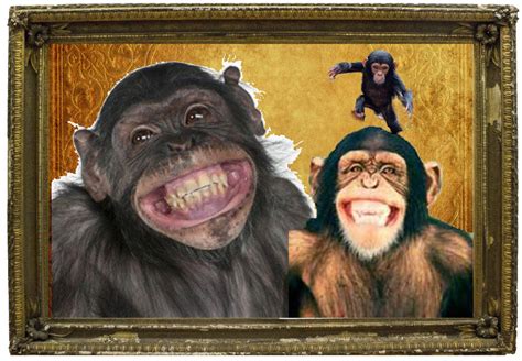 The Chimp And His Family by Damienoftheuniverse on DeviantArt