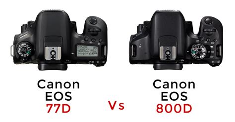 Canon EOS 77D vs Canon EOS 800D Review - Park Cameras Blog