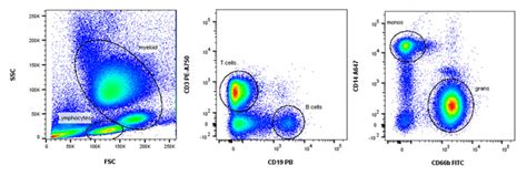 Immunophenotyping - Flow Cytometry Guide | Bio-Rad