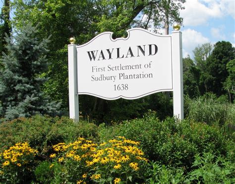 Wayland Town Sign - Creative Carved Signs