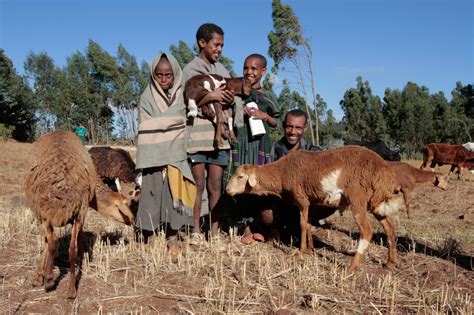 Four simple strategies which are helping Ethiopian farmers adapt to climate change | Oxfam ...