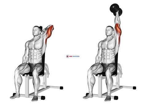 Dumbbell Seated Reverse Grip One Arm Overhead Tricep Extension - Home Gym Review