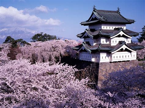 Hirosaki Park | TOHOKU x TOKYO (JAPAN)