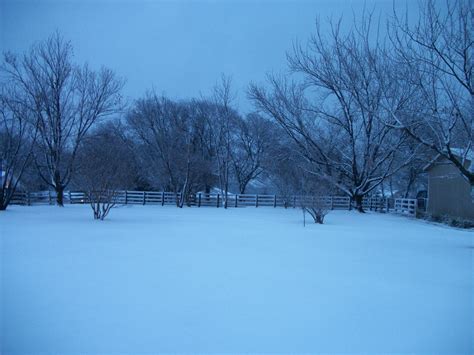 Snow storm in TEXAS. | A court of mist and fury, Texas storm, Snow storm