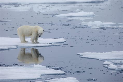 Si le réchauffement est stoppé à 1,5 °C, la hausse des océans sera limitée | La Presse