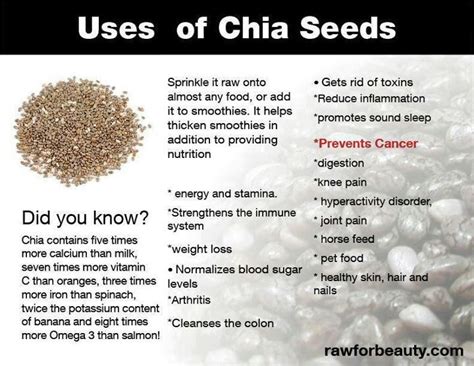 Benefits of Chai Seeds | Chia benefits, Health, nutrition, Healthy recipes