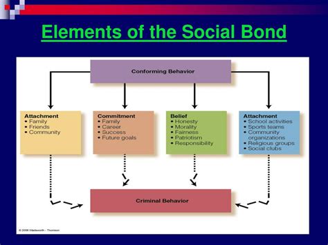 PPT - Chapter 7 Social Process Theories: Learning, Control and Reaction PowerPoint Presentation ...