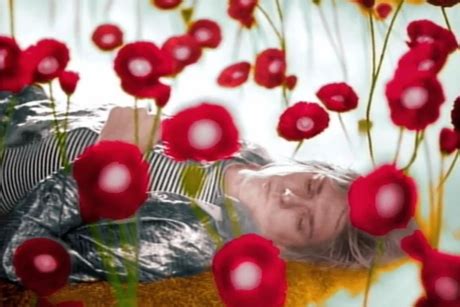 Nirvana "Heart-Shaped Box" (director's cut video) | Exclaim!