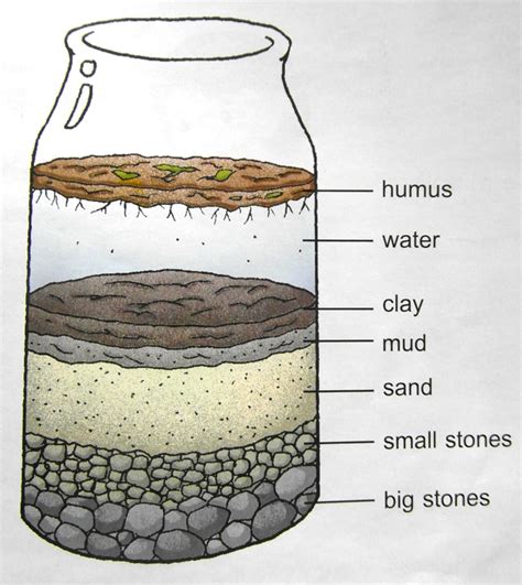 Science - SJR: Prathom 1