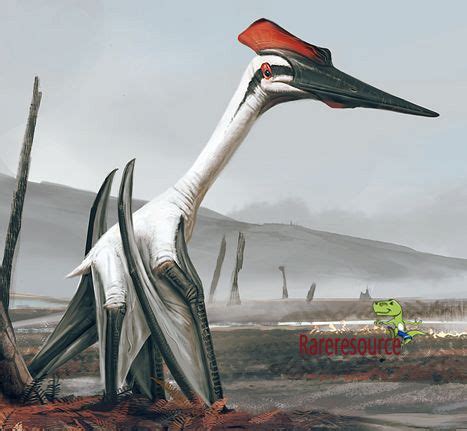 Quetzalcoatlus‬ was one of the biggest known flying animals of all time.They died out about 65 ...